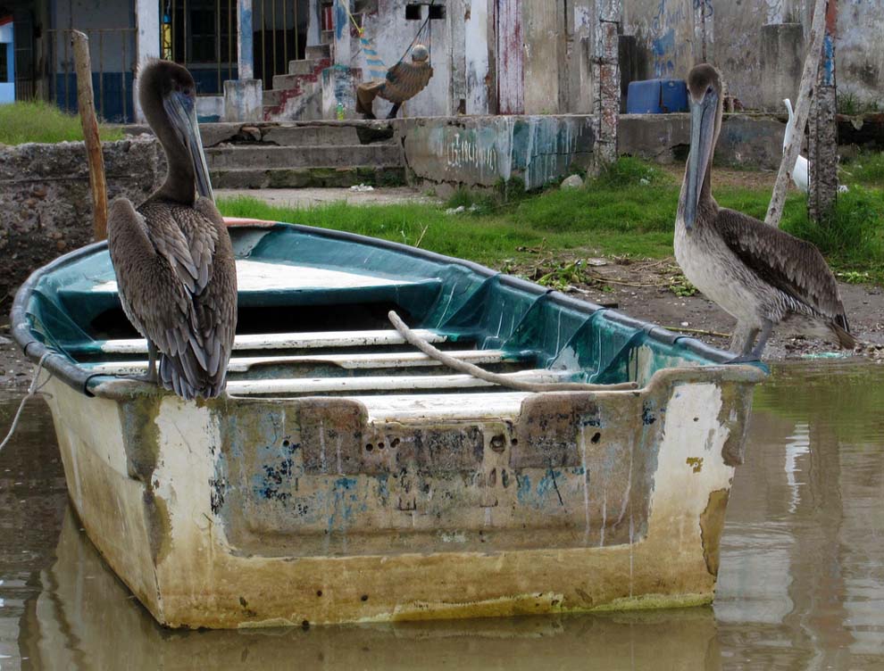 Мескальтитан — город на воде Мескальтитан, города, Mexcaltitán, время, острове, Проехав, ацтеки, которого, можно, жители, СантьягоИскуинтла, долгого, одной, ацтеков, современный, километрах, Мескальтитана, Петра, святых, городе