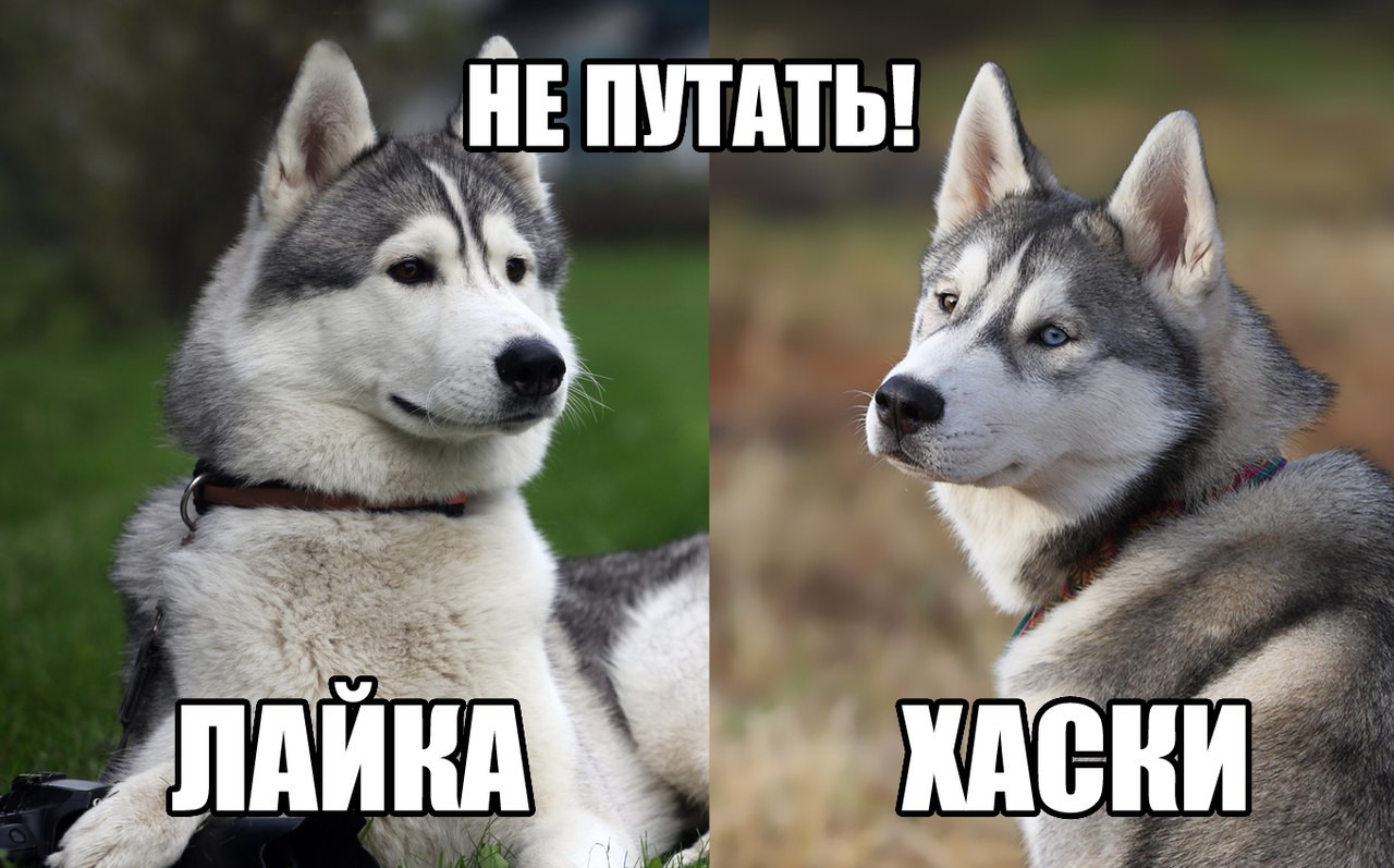 Веселая подборка жизненных надписей к фотографиям и картинкам со смыслом Веселая подборка жизненных надписей к фотографиям и картинкам со смыслом