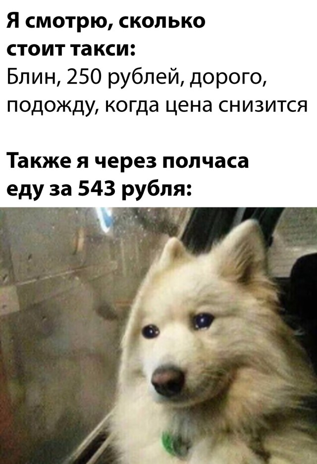 Подборка прикольных картинок  приколы,смешные картинки,юмор