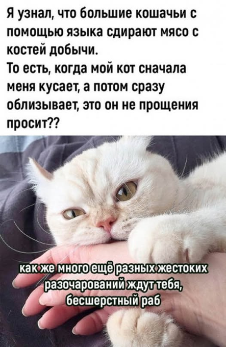 Чтобы петь караоке, слух не нужен. Нужны хорошее зрение, отсутствие совести и розетка