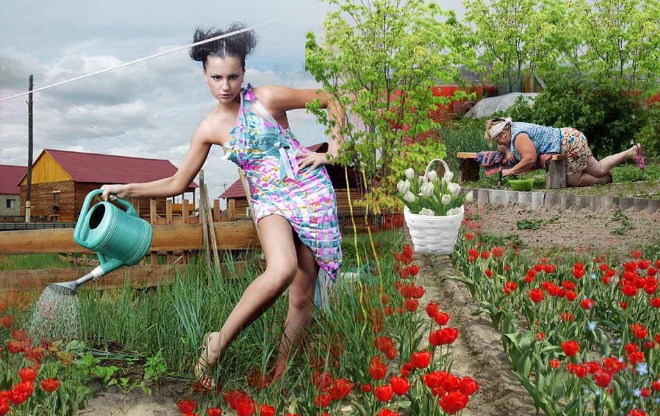 Огородные страсти