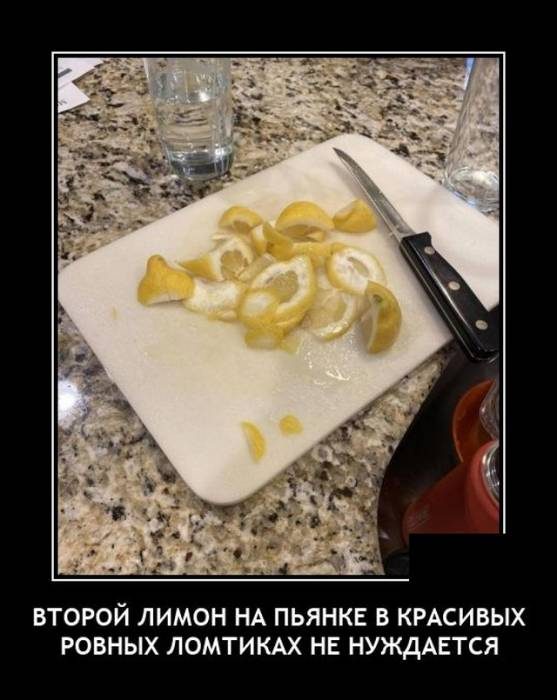 Смешные картинки в чёрной рамке для хорошего настроения! 