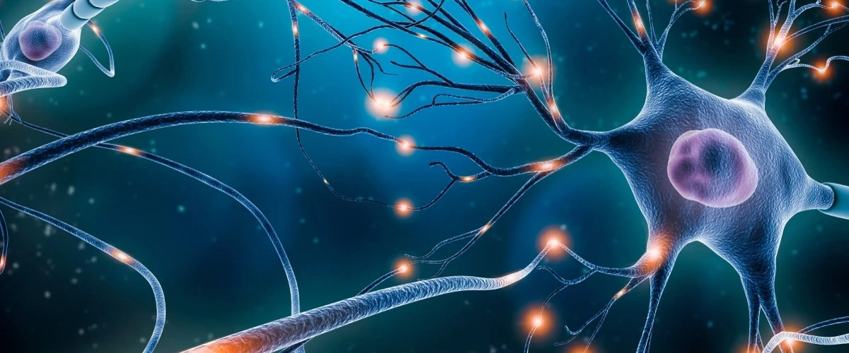 Ученые впервые нашли нейроны, кодирующие значение слов