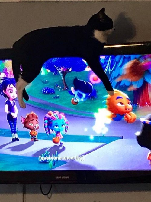 22 очаровательных животных, которые вызовут улыбку и подарят позитив 22 очаровательных животных, которые вызовут улыбку и подарят позитив