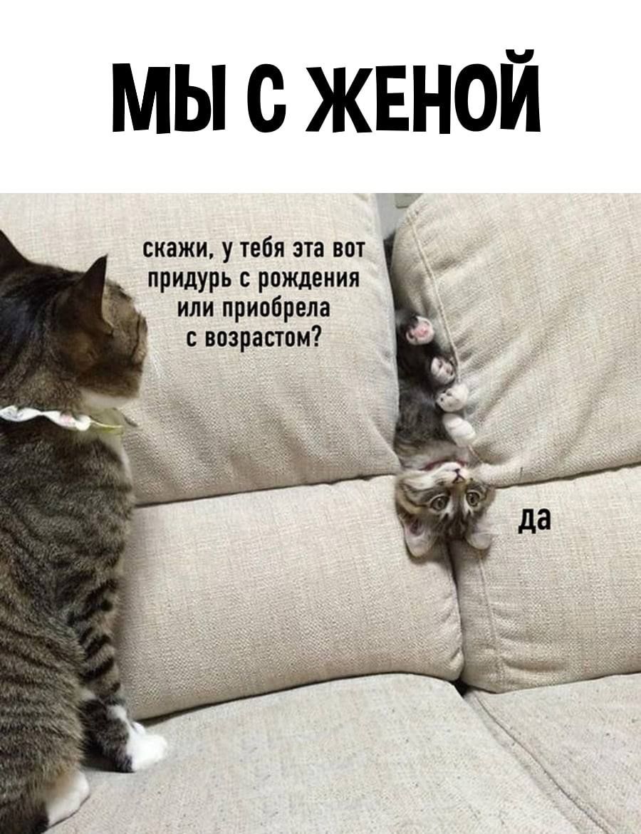 Свежая подборка забавных шуточек Свежая подборка забавных шуточек