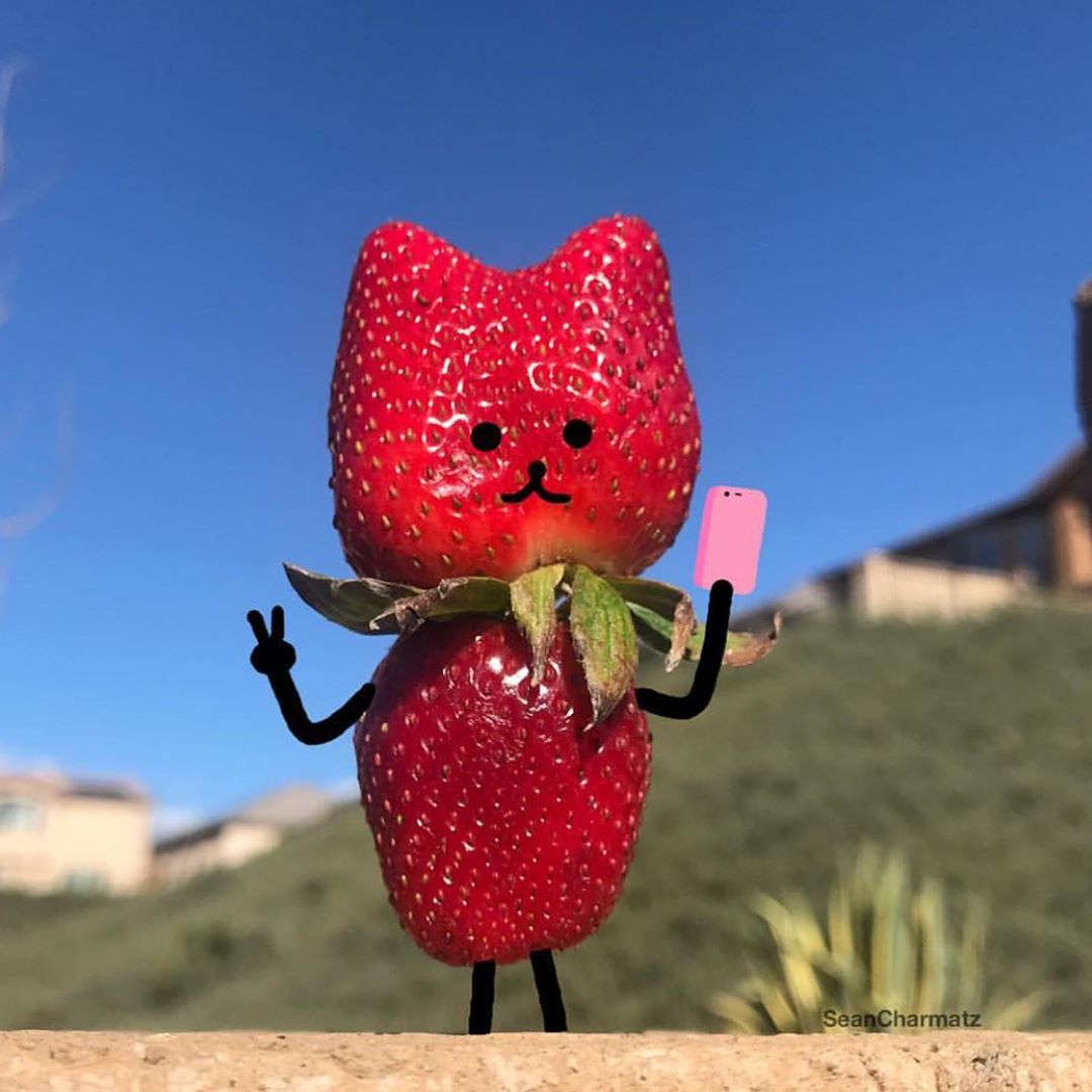 Забавный мир Шона Чармац 