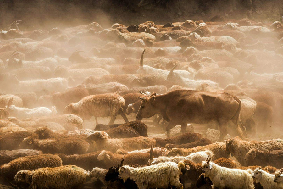 牧歌 by 🌇黄春🏙  on 500px.com