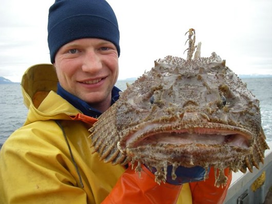 Занимательная Аляска Занимательная Аляска