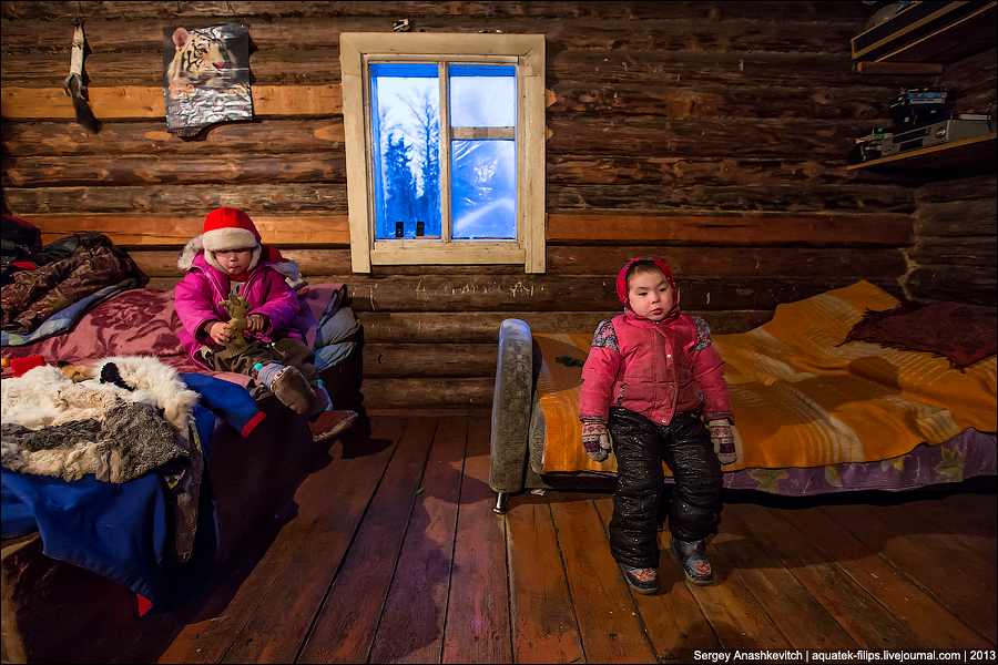 Жизнь в тайге в настоящее время. Жизнь в тайге. Жить в тайге. Люди живущие в тайге. Тайга для детей.