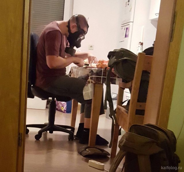 Приколы про лук Приколы про лук