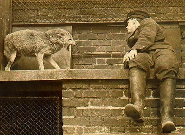 20 фотографий начала XX века, от которых у вас округлятся глаза забавные снимки,интересное,история,начало века,ретро фото,странности,фотография