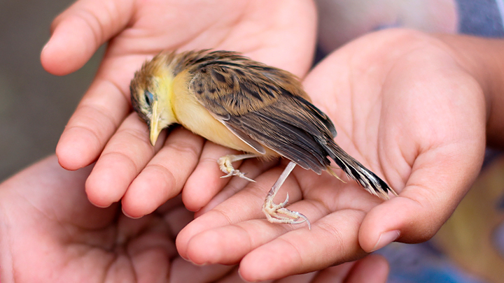 РАСКРЫТО УБИЙСТВО РЕБЁНКА В КОСТРОМЕ. ВЫ ВСЁ ЕЩЁ УВЕРЕНЫ, ЧТО СОДОМИТЫ БЕЗОПАСНЫ ДЛЯ ОКРУЖАЮЩИХ?