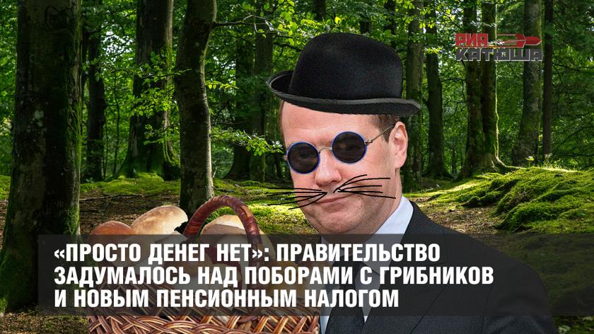 «Просто денег нет»: Правительство задумалось над поборами с грибников и новым пенсионным налогом россия