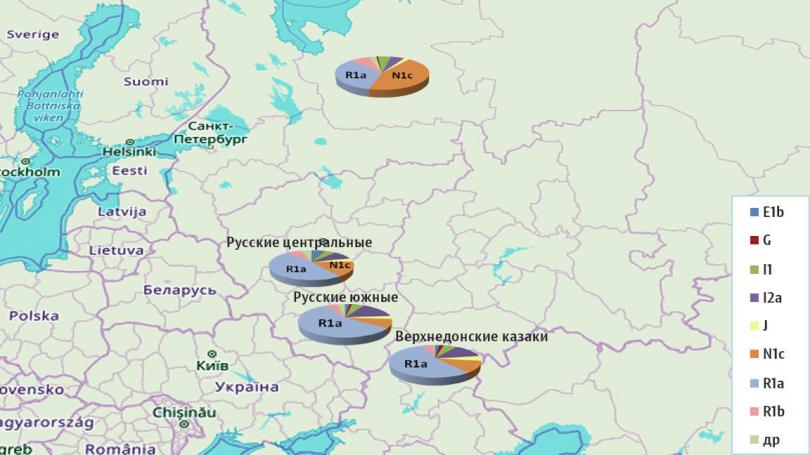 Загадки истории: что содержится в ДНК русского человека геном,ДНК,русские