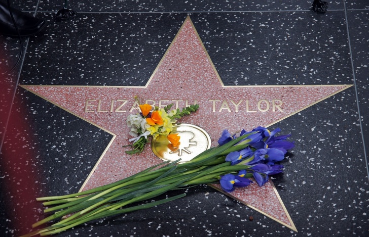 История жизни Элизабет Тейлор, вызывающая столько же зависти, сколько и сочувствия История жизни Элизабет Тейлор, вызывающая столько же зависти, сколько и сочувствия загадочность,знаменитости,интересное,очарование,фотографии