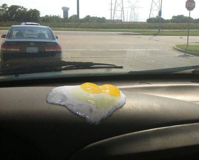 Позитивные и забавные картинки с фото приколами из сети классные фото приколы,Смешные картинки и фото приколы,смешные картинки ржака