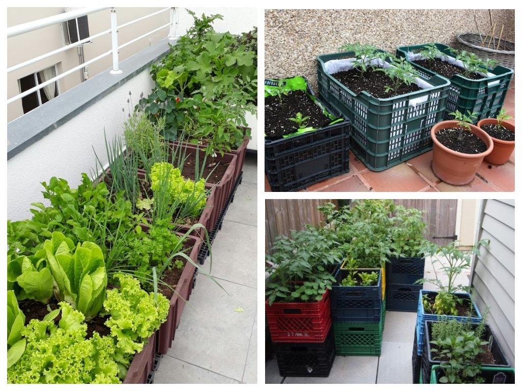 Пластиковые ящики на даче: идеи применения дача,идеи для дачи,полезные советы,сад и огород