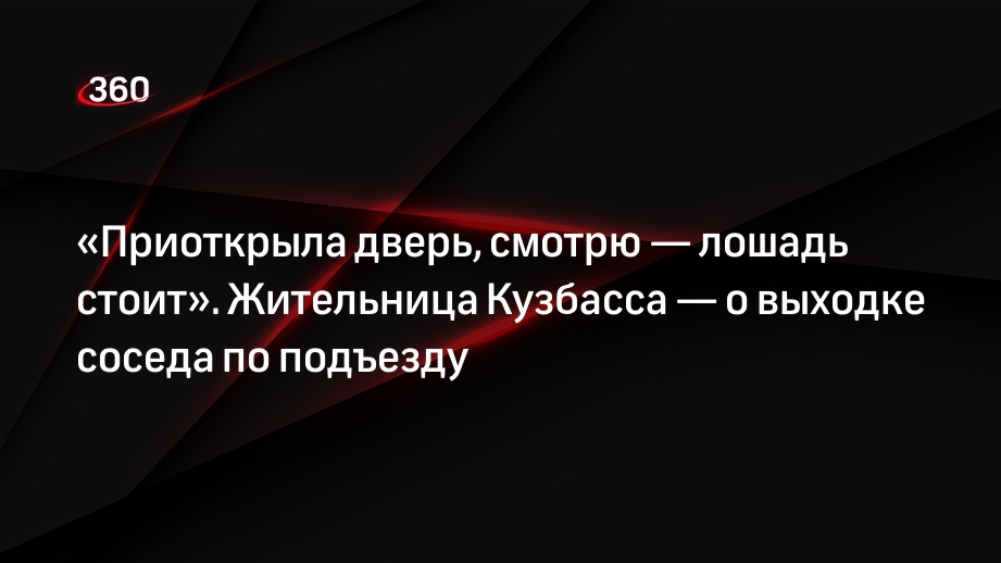 Жительница Осинников заявила, что пьяный сосед привел лошадь в квартиру