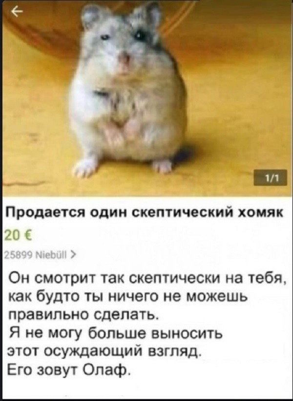 Искромётная подборка для отличного времяпровождения Искромётная подборка для отличного времяпровождения