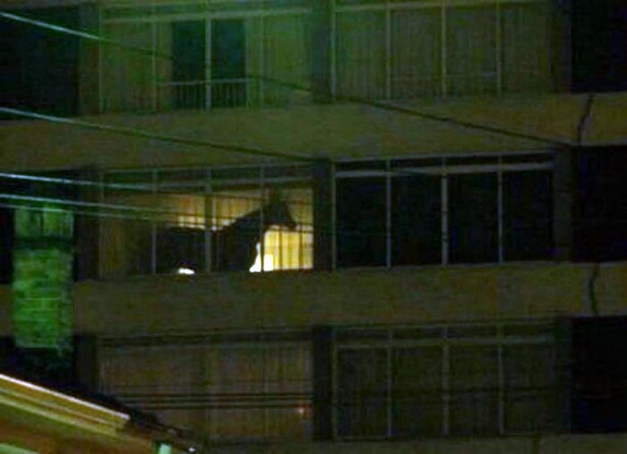 О сложных взаимоотношениях с соседями смешные картинки,фото-приколы,юмор