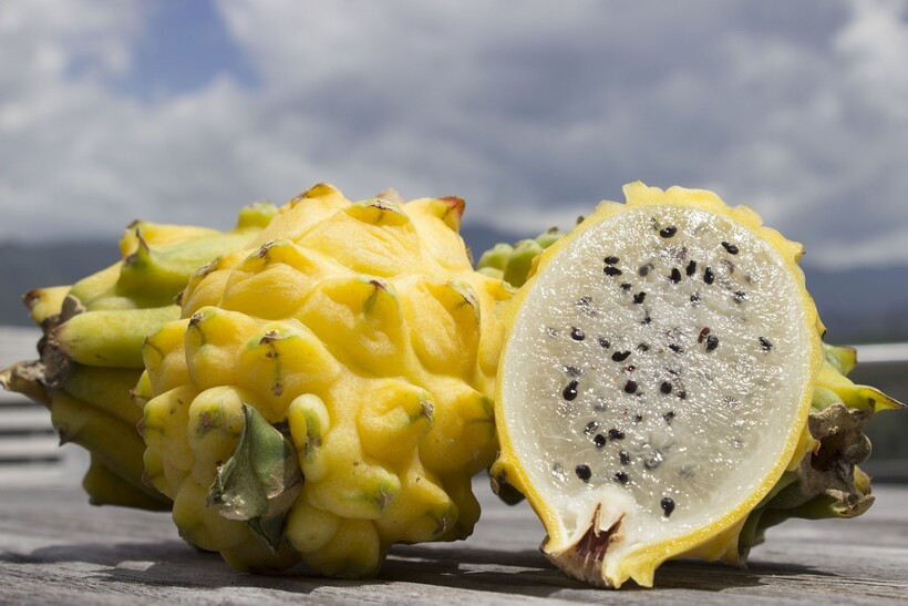 Карамбола, мангостин, лонган и еще 10 необычных фруктов со всех частей света