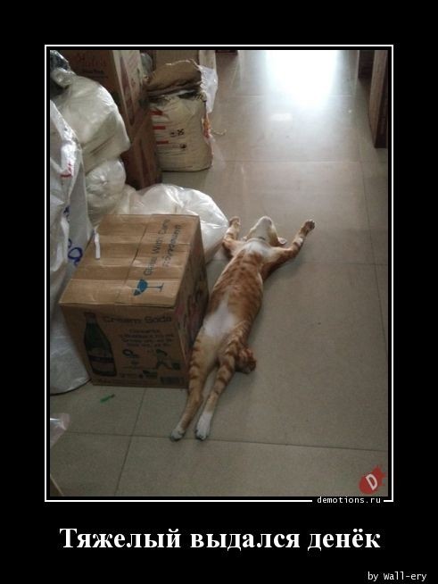 Демотиваторы для всех: «Такое вот лето»  