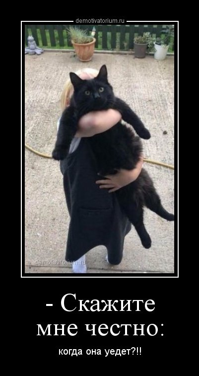 Новые, прикольные демотиваторы на любой вкус 