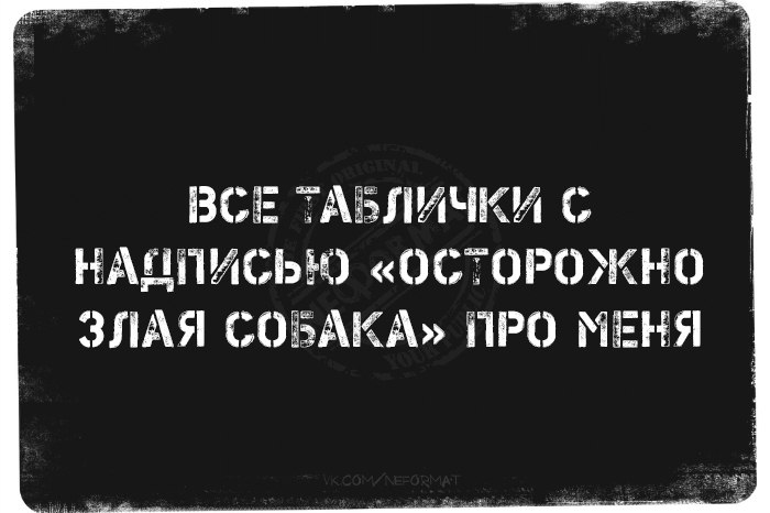 Когда старая дева выходит замуж, она тут же превращается в молодую жену года , Мадам, воровства, карму, признательна, благодарна, очень, нравится, замечательная, знакомо, божественный, такой, рептилоид, плакал, простота, любите, Когда, собак, Идиоты, наверное