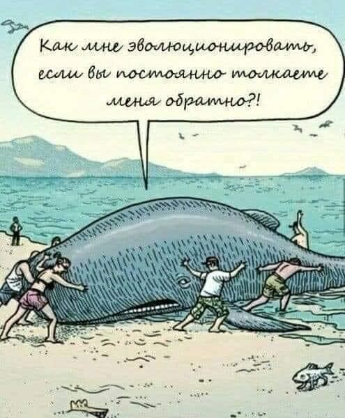 Юмор из интернета 608 позитив,смех,улыбки,юмор