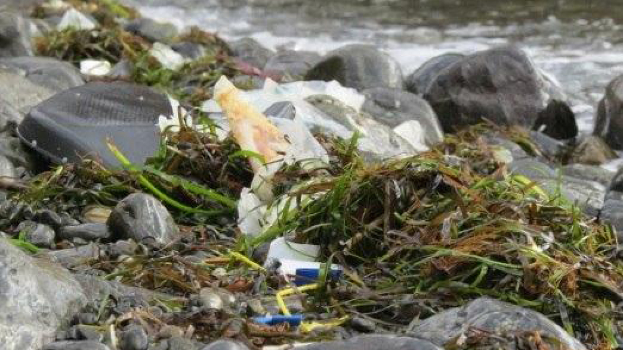 Активисты очистили от мусора Карадагский природный заповедник в Крыму