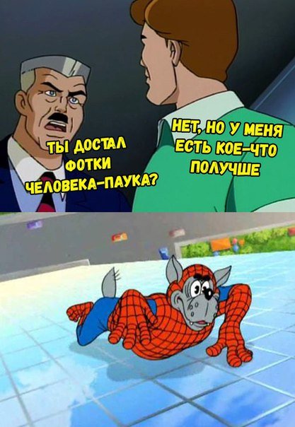 Весёлые фотомемы Весёлые фотомемы