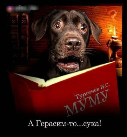 Жена ругается:  - Ты сволочь! Негодяй! Мерзавец!...