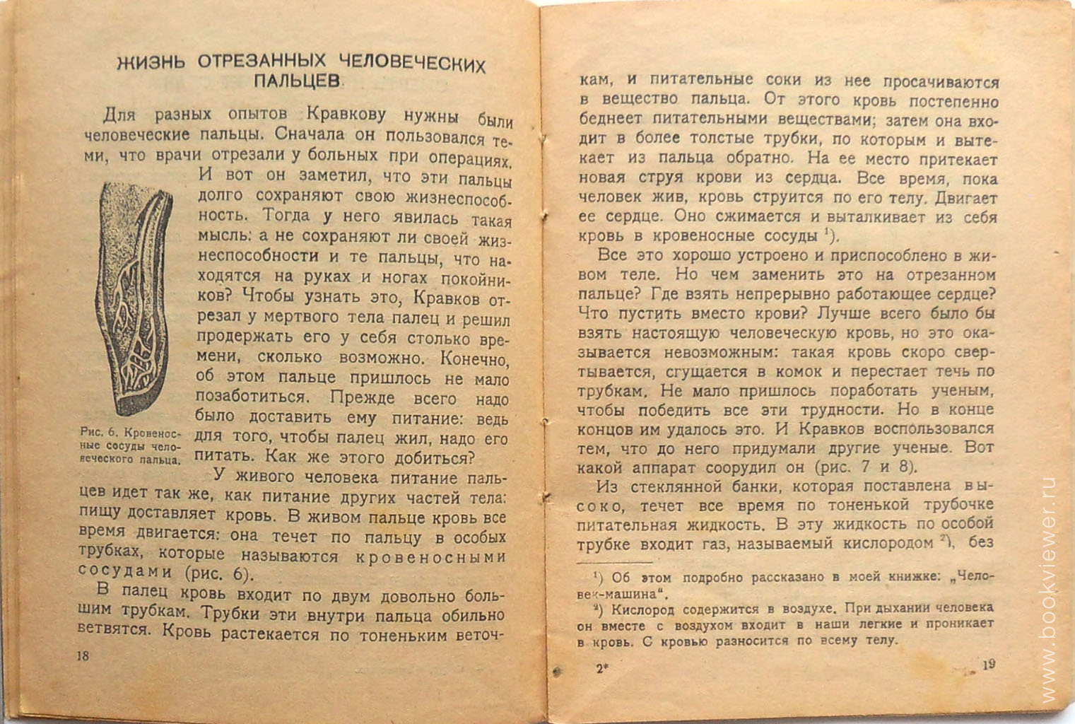 Смерть и Оживление 