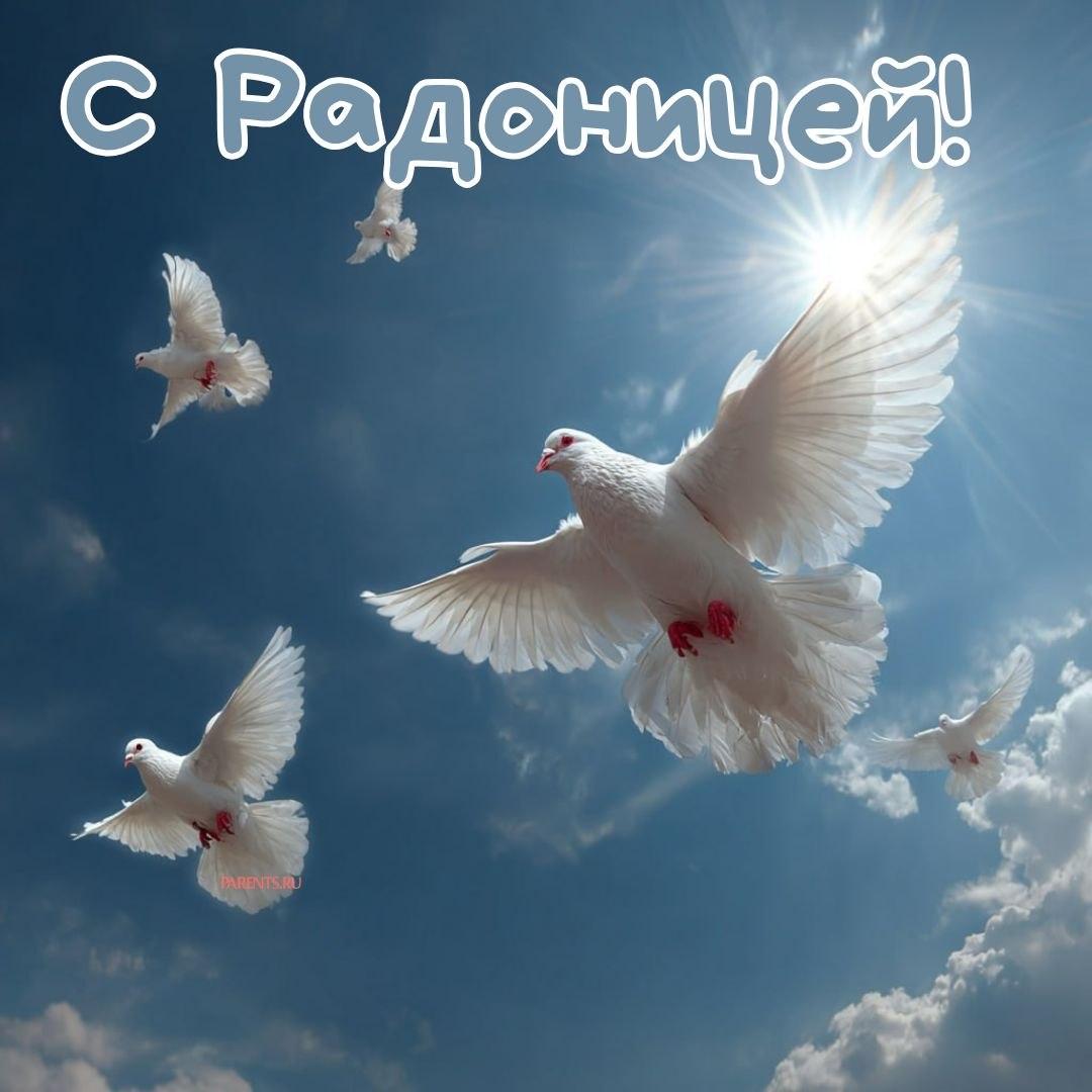 Красивые открытки на Радоницу: 40+ душевных картинок с днем поминовения Радоницу, открытки, после, Пасхи, Поэтому, жизнь, поводы, смысле, традиционном, поздравляют, Радоницей, радостиС, находить, близкие, равно, хорошее, только, вспоминать, вечная, должны