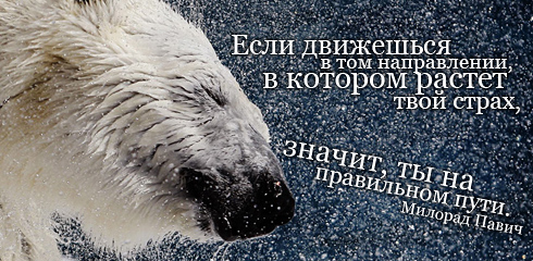цитаты со смыслом и картинки с цитатами цитаты со смыслом и цитаты в картинках 2