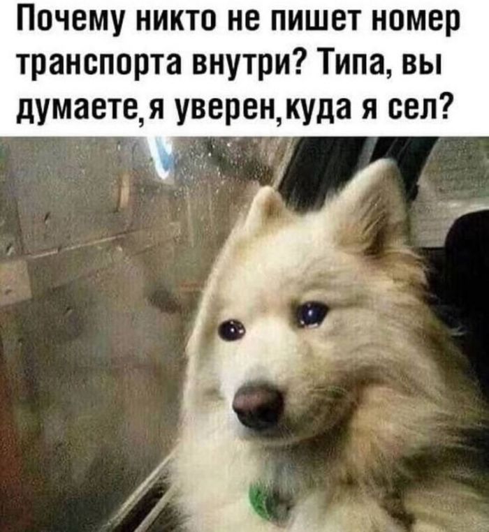 Юмор для тех, кто уже повзрослел и понял, что выходные — это миф Юмор для тех, кто уже повзрослел и понял, что выходные — это миф