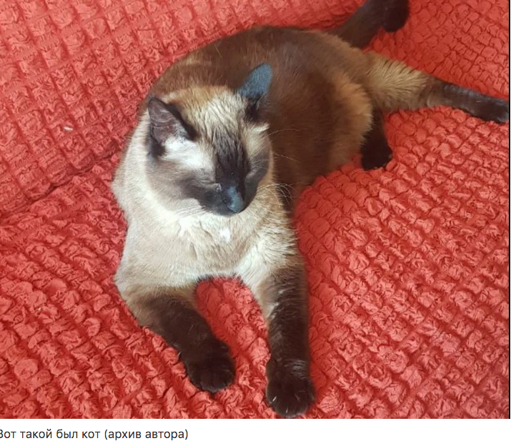 Сбежавший ужин Сбежавший ужин