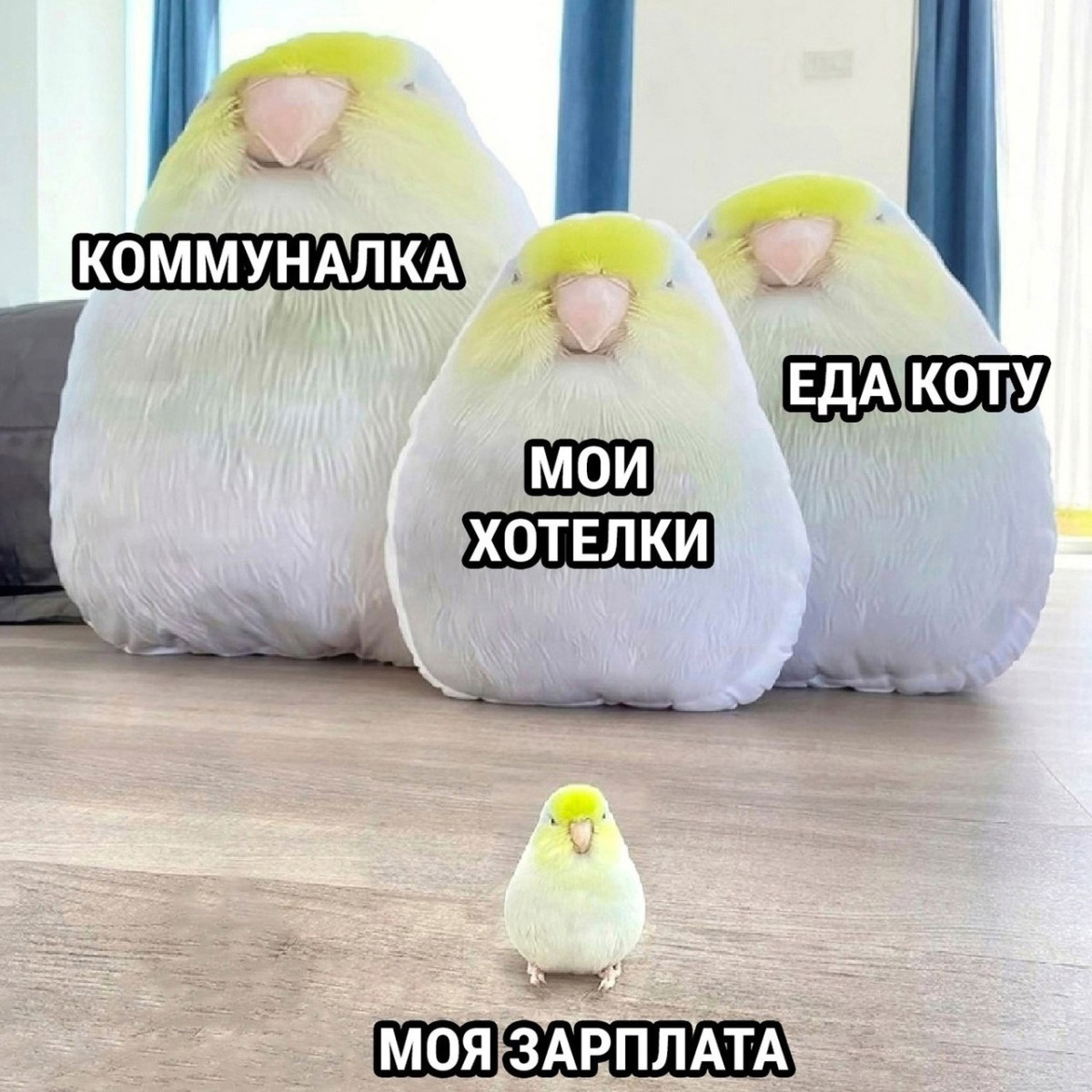 Юмор для тех, кто уже повзрослел и понял, что «приключение» — это когда выключили горячую воду 