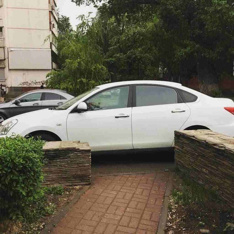 Вот хозяева двора, в голове у них дрова Вот хозяева двора, в голове у них дрова