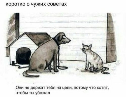 Свежие фото-приколы и картинки Свежие фото-приколы и картинки смешные картинки