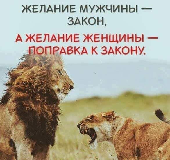 - Познакомился на сайте знакомств с девушкой, обманул еe, что мне 20 лет... Весёлые,прикольные и забавные фотки и картинки,А так же анекдоты и приятное общение