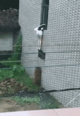 Фейлы и неудачи девушек в гифках Фейлы и неудачи девушек в гифках картинки