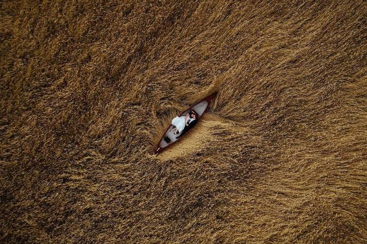 Свадебный фотограф года, фотоконкурс свадебных фотографий, International Wedding Photographer of the Year, конкурс свадебной фотографии