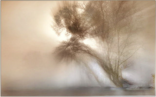 Особое настроение -- туманные пейзажи фотографа Габора Дворника (Gabor Dvornik)
