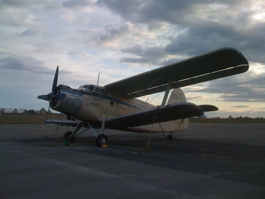 Занимательная Аляска Занимательная Аляска