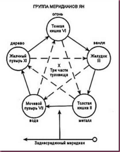 Простукивание: Простой способ омоложения меридиан, канал, мочевого, меридиана, металл, поступает, энергии, Меридиан, толстой, огонь, передается, тонкой, желчного, дерево, стимулирует, точке, заканчивается, пузыря, органов, кишки