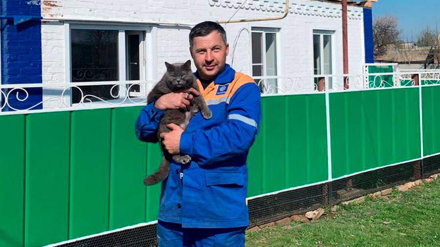 В Ростовской области кошка спасла из пожара семью из 4-х человек и своих котят