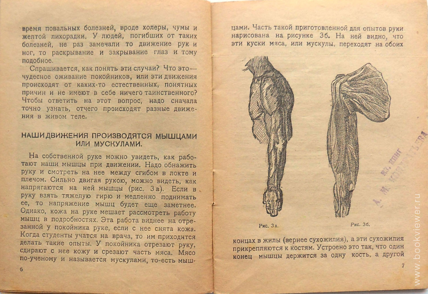 Смерть и Оживление 