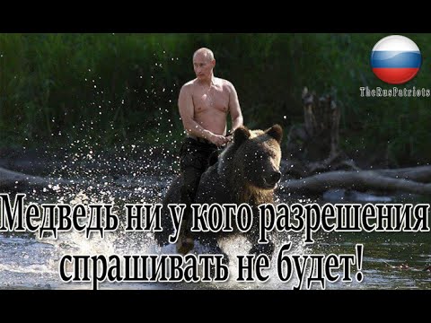 Путин На Медведе Фото В Хорошем Качестве