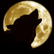 Волк при луне монохром